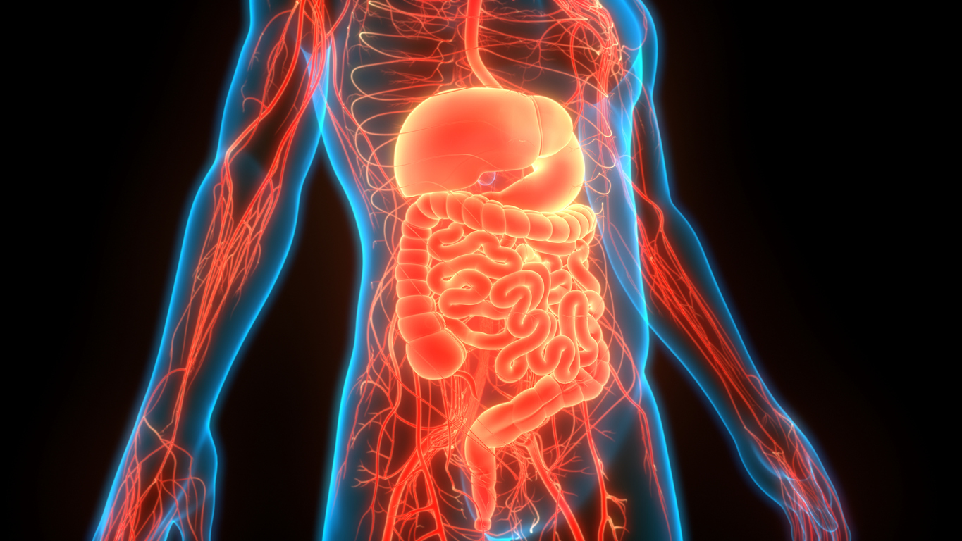 Potential Gastrointestinal Benefits of Lithium
