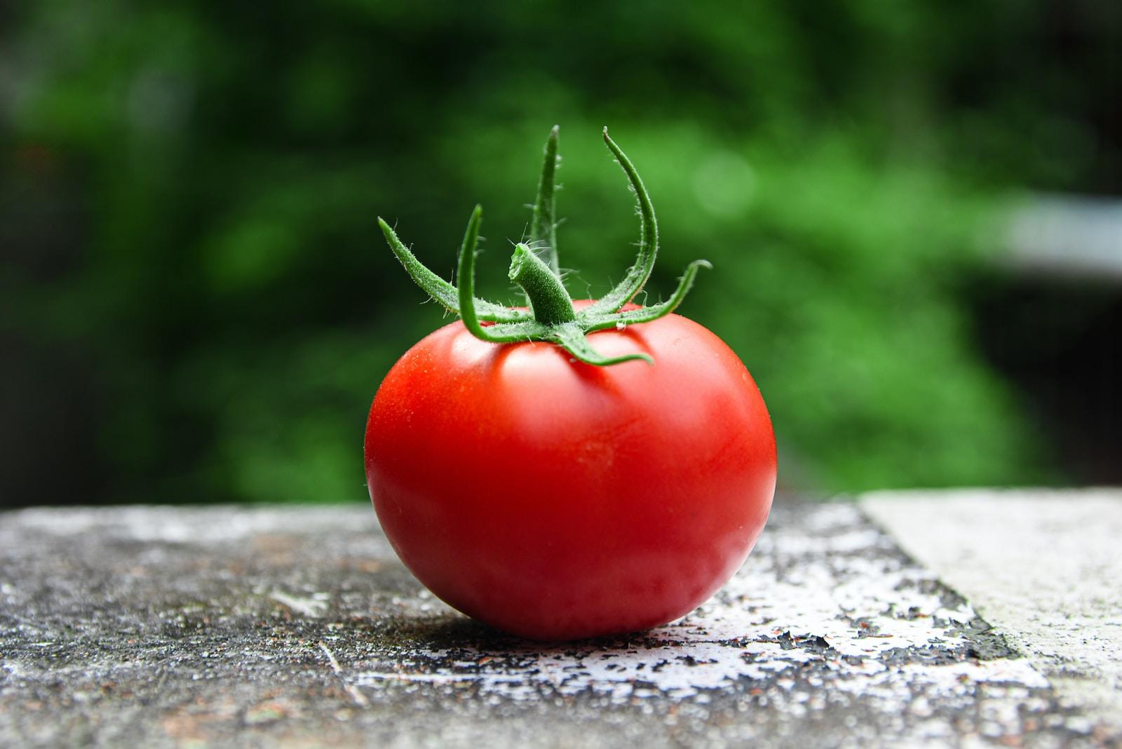 “The Tomato Effect”: Why Nutritional Therapies are Rejected by Mainstream Medicine