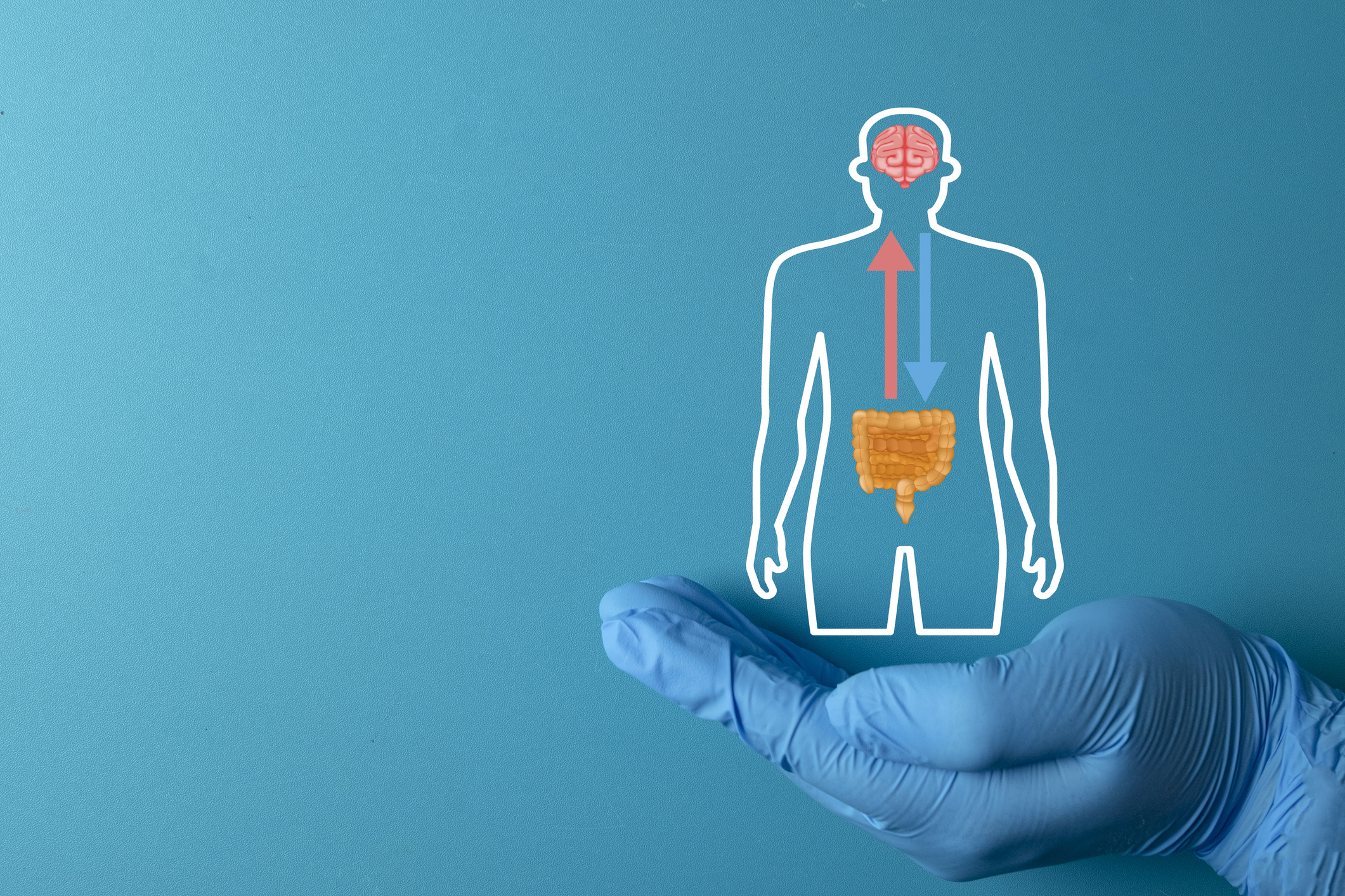 What Is the Gut-Brain Axis?
